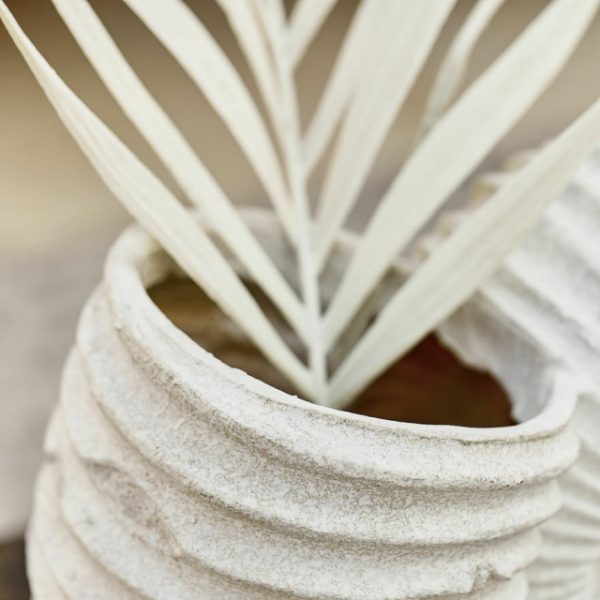 Vase KORRELLIN Vase aus Polyresin in Schneckenmuschelform unf Farbe creme